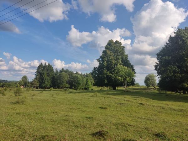 SIEDLISKO NA SPRZEDAŻ sprzedam siedlisko