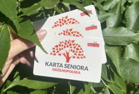 Pismo w sprawie przystąpienia Miasta do ogólnopolskiego programu