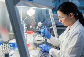 Dygestorium laboratoryjne krok po kroku – budowa, funkcje i zasady użytkowania