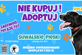 Ratusz przypomina o programie wsparcia finansowego przy adopcji