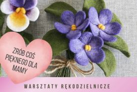 Strefa Odkrywania, Wyobraźni i Aktywności w Suwałkach zaprasza