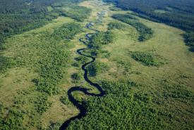 Rospuda: Ostatnia dzika rzeka Europy. Kompletny przewodnik po szlaku (przyroda, historia, kajaki)