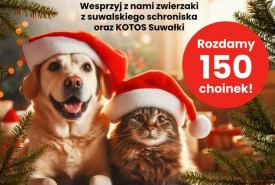 Akcja „Karma wraca na Święta” w Centrum Handlowym w Suwałkach