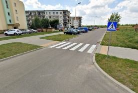 dodatkowe nasadzenia na środkowym odcinku ulicy 11 Listopada