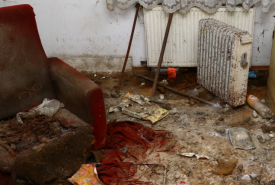 Zaniedbanie zwierząt to też przemoc