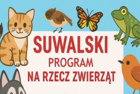 utworzenie w mieście "Suwalskiego Programu na Rzecz Zwierząt"