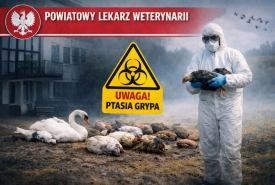Powiatowy Lekarz Weterynarii w Suwałkach wydał rozporządzenie