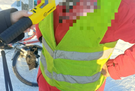 Mandatami w wysokości po 2500 złotych zostało ukaranych dwóch rowerzystów