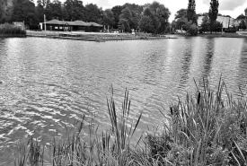 Do zdarzenia doszło w środę przed godziną 16.00 na plaży