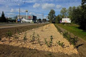 Dobiegają końca prace przy kolejnych etapach projektu „Zielone Suwałki”
