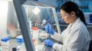Dygestorium laboratoryjne krok po kroku – budowa, funkcje i zasady użytkowania