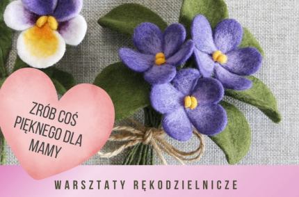 Strefa Odkrywania, Wyobraźni i Aktywności w Suwałkach zaprasza