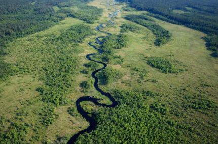 Rospuda: Ostatnia dzika rzeka Europy. Kompletny przewodnik po szlaku (przyroda, historia, kajaki)