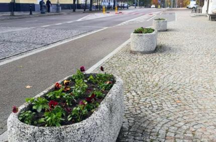 Pracownicy Działu Zieleni Miejskiej Zarządu Dróg i Zieleni w Suwałkach