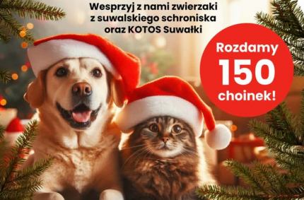 Akcja „Karma wraca na Święta” w Centrum Handlowym w Suwałkach