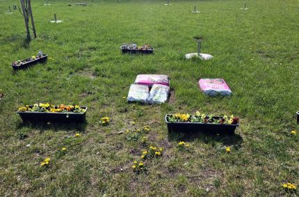 akcja sprzątania terenów zielonych naszego miasta