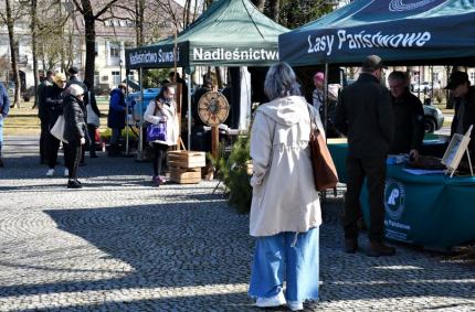 Plenerowa impreza edukacyjna pod nazwą „Święto Lasu”