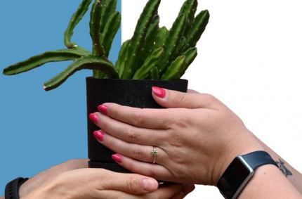 Przyjdźcie, aby znaleźć coś nowego do swojej kolekcji