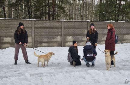 Wolontariusze Centrum Aktywności Społecznej PRYZMAT
