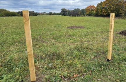 teren nie jest jeszcze uzbrojony, brakuje przyłączy i oznaczeń geodezyjnych