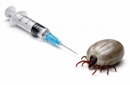 Program polityki zdrowotnej w zakresie szczepień ochronnych