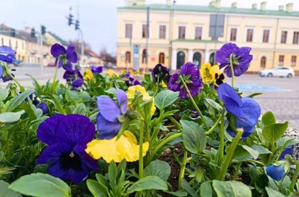 w Suwałkach już trwają przygotowania do sezonu wiosenno-letniego