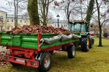 Koszenie trawników, porządkowanie rabat i żywopłotów oraz przycinanie drzew