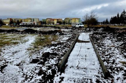 Władze miasta kontynuują realizację projektu „Zielone Suwałki”