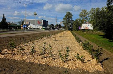 Dobiegają końca prace przy kolejnych etapach projektu „Zielone Suwałki”