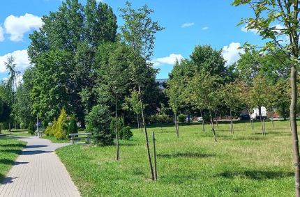 Przedsięwzięcie obejmuje łącznie 12 lokalizacji o powierzchni 9 hektarów