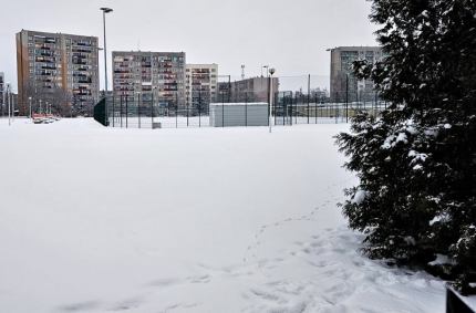 odpowiedzialność jest przerzucana z jednej instytucji na drugą